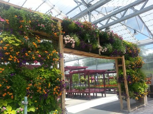 Their new gate of flowers display,  much more impressive in person.