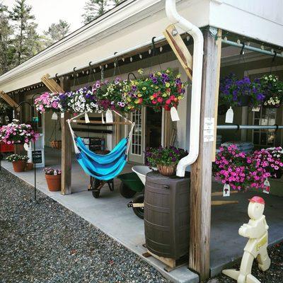 Proven Winners hanging baskets on the store front