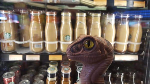 Bob the Raptor Says "Starbucks Prey."