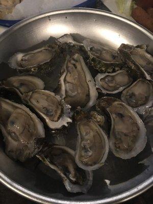 Oysters