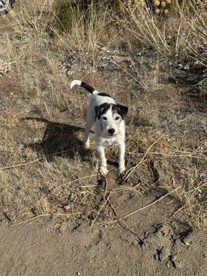 Chief, unofficial greeter