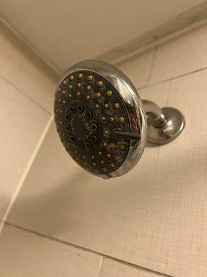 Shower head needs a good scrubbing