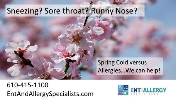 Our ENT Specialists offer patients an extremely safe and permanent cure for seasonal and year-round allergies - Allergy Drops