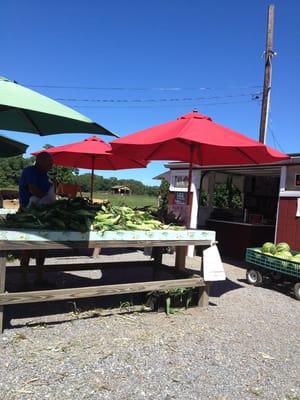 Little Red Farm Stand