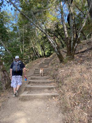 The trail is dog friendly.