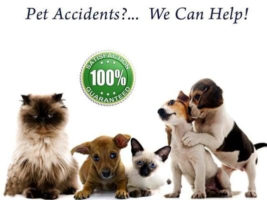 We love our pets, let's protect them with green solutions cleaning product.