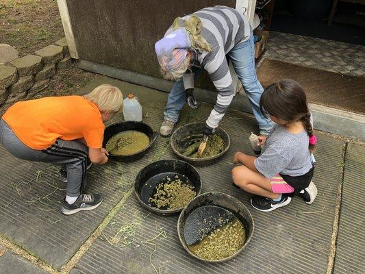 Learning to mix up the special diets to care for the rescue horses.