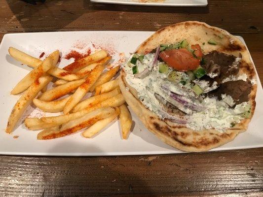 Lamb gyro wrap and fries