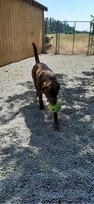 Berkley loves playing with Karen at Prarie!!