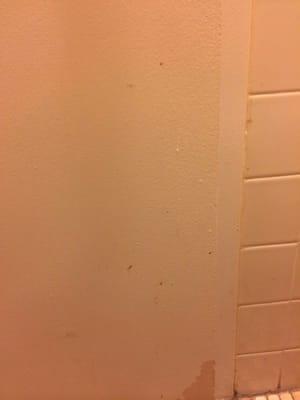 Some really suspicious stains on bathroom door