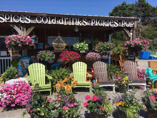 Hanging Baskets