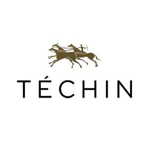 TÉCHIN logo