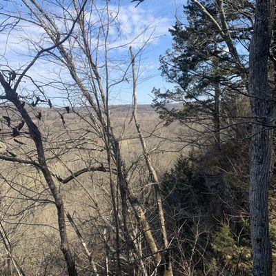 View from the 1000 Steps Trail.