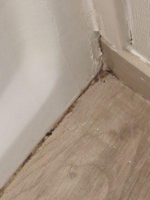 Moldy caulking.