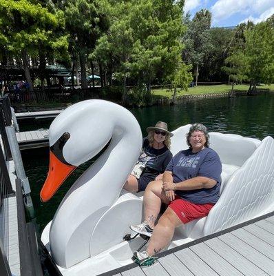 Swan paddle boat