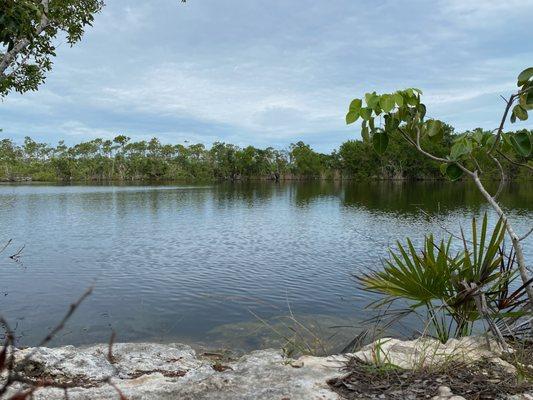 Blue Hole (freshwater pond)