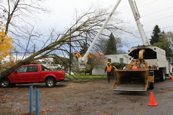 24 hour hazard support, call or click today: (503) 657-6570 www.treecareunlimitedllc.com