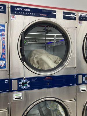 This is a very clean laundromat! I love the card idea so I don't have to mess with coins. All the machines I could see were in good repair.