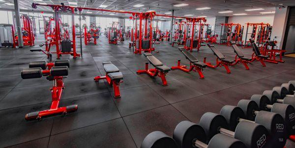 Six adjustable benches, decline bench, and preacher curl - Always plenty of equipment!