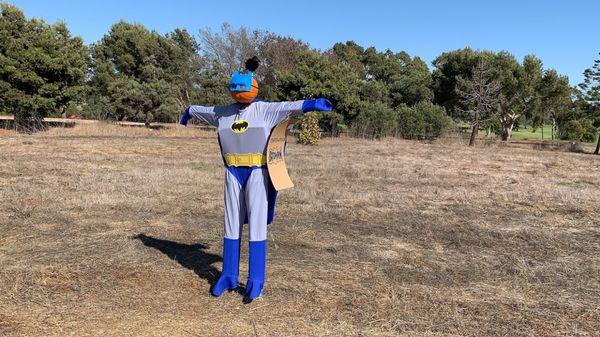 Batman: Scarecrows from the scarecrow contest.