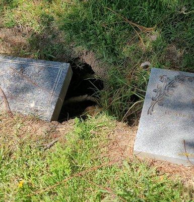 Hole at a nearby plot