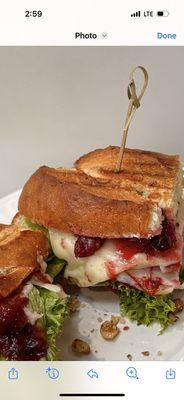 Cranberry Turkey panini