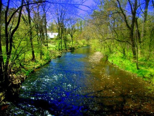 The Wissahickon Creek along the Green Ribbon Trail in Montgomery County