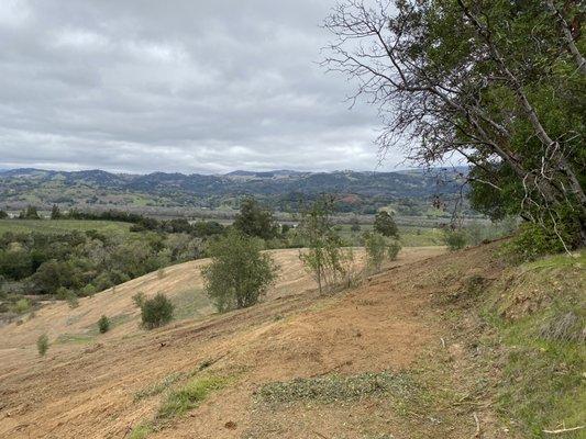 Very steep slopes where brush was mulched. 7 acres in 3 days.