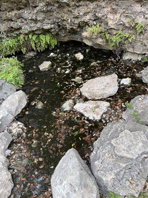 Balcones District Park