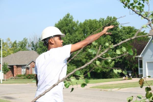 Wichita Tree service
Tree Trimming in wichita ks