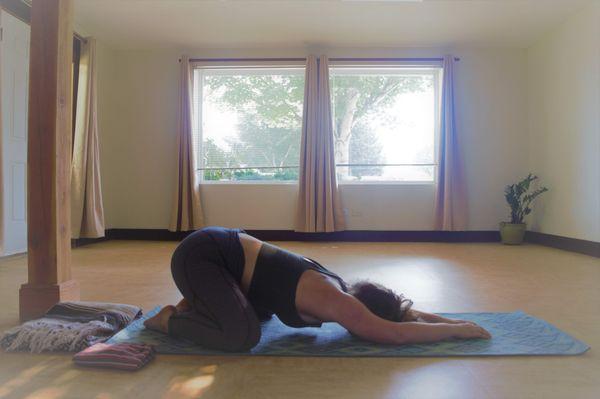 A yogi in our studio.