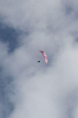 Black Mountain Paragliding Port, Gliderport of Black Mountain, Black Mountain Park