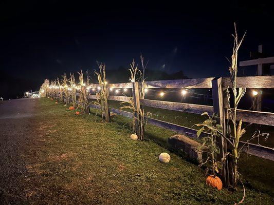 Lit pathways make the ambience very Autumn like.