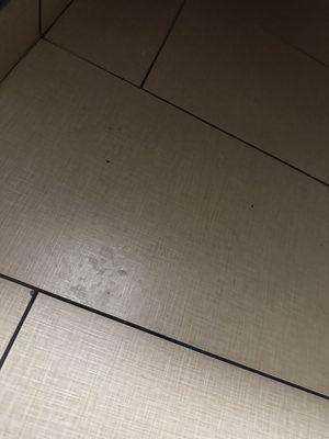 Dirty floors. This is the bathroom mind you.