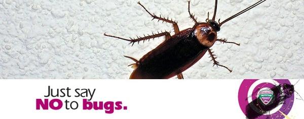 Just say no to bugs, and call EnSec Pest & Lawn in Mobile, AL today!