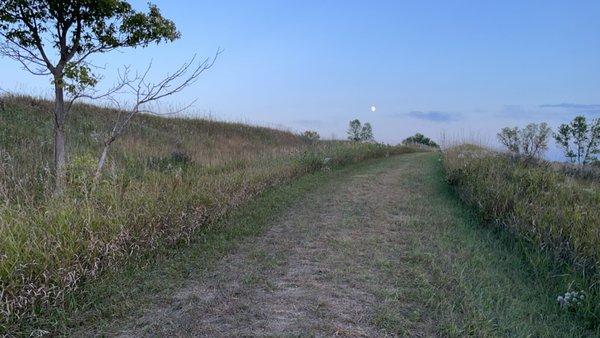 Walking trail by campsite