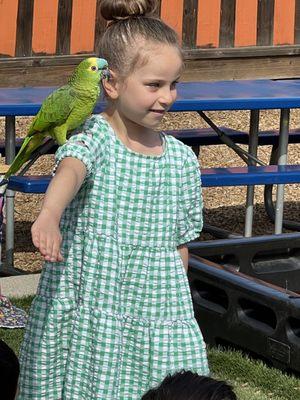 All the kids got a chance to get up close with a bird during our yearly bird show!