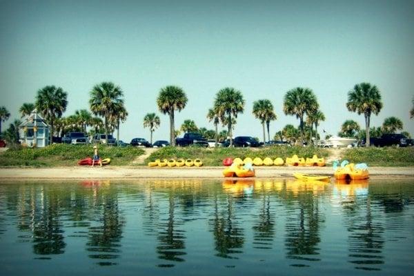 Kayak, Pedal Boat,and Stand-Up Paddle Boards Rentals at Fred Howard Park