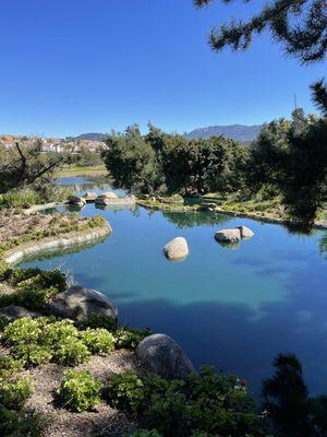 Ponds on Course