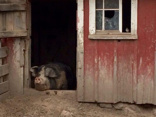 Living History Farms