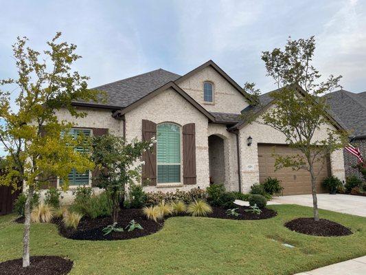 Front yard landscape