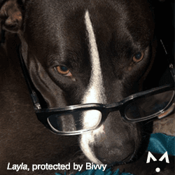 Layla Maloney is protetected by Bivvy