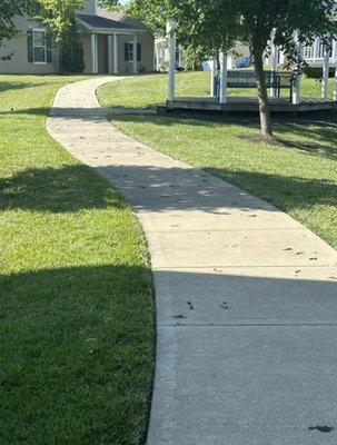 Increased rent for end units just to be living next to a sidewalk covered in feces. Office management is dishonest and unprofessional.