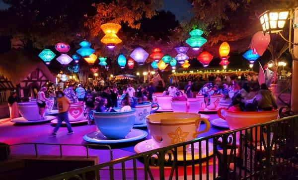 Love how pretty the Mad Tea Party is at night!