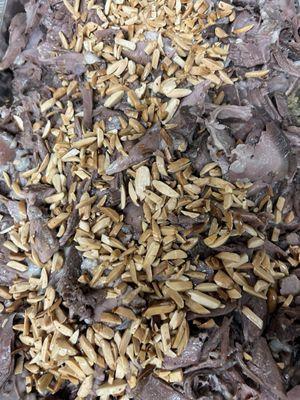 Freekeh with lamb shsnk