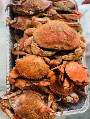 Jumbo blue crabs