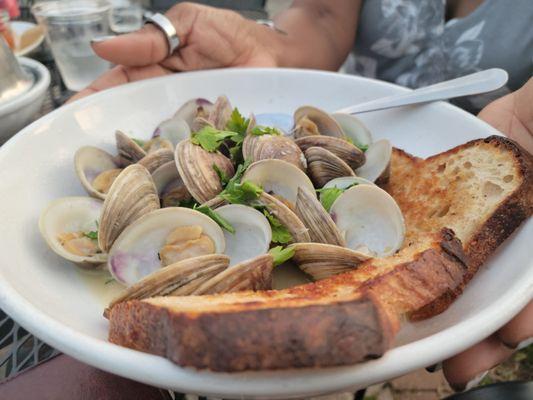 Clam bowl