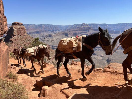 South Kaibab Trail