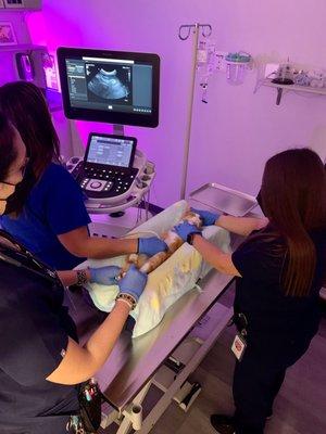 Kimberly Golden, DVM, DACVIM and her Internal Medicine team are performing an ultrasound.