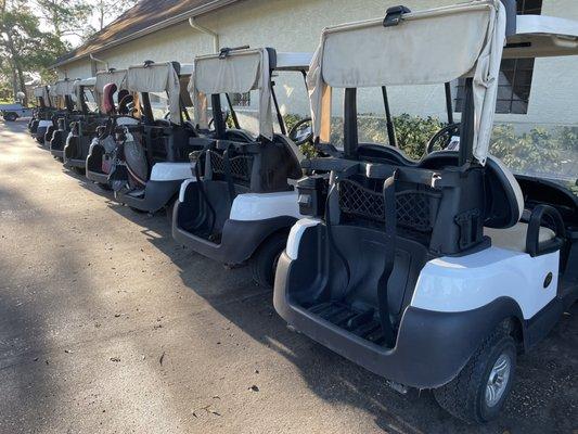 Carts ready to go!